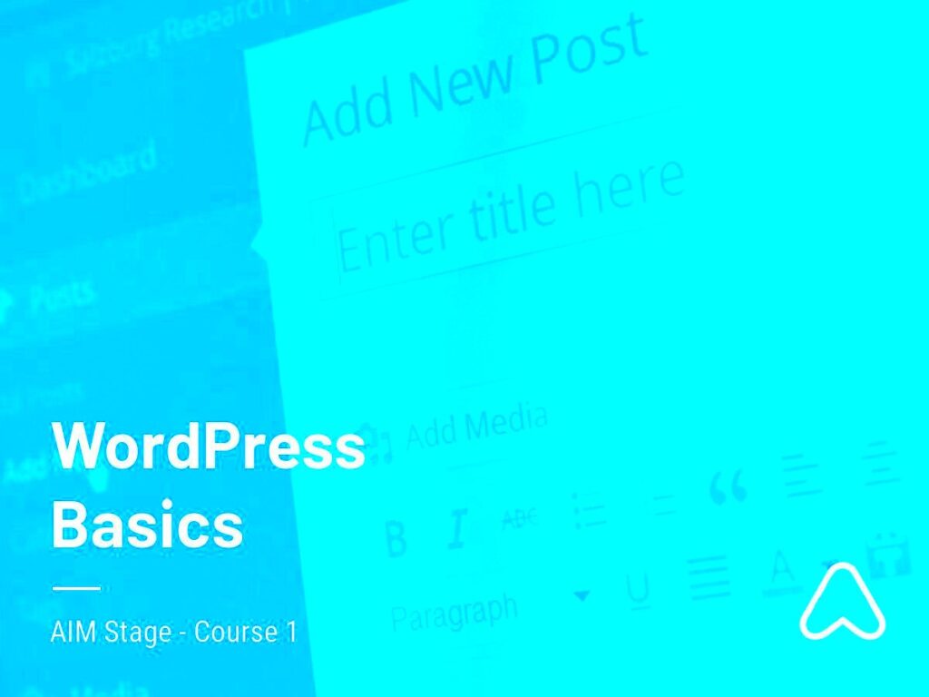 Wordpress Basics  What you absolutely need to know about the worlds