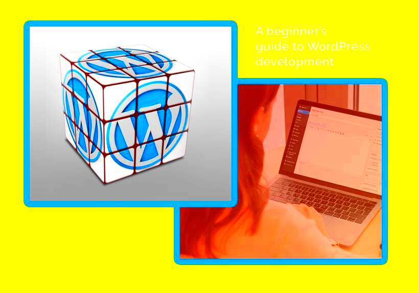 A beginners guide to WordPress development  Grace Themes