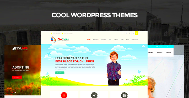 20 Cool WordPress Themes to Make Your Site Stand Out 2024