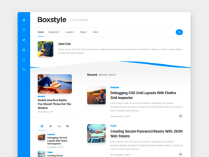 Box View Theme for WordPress A Free Guide to Customization