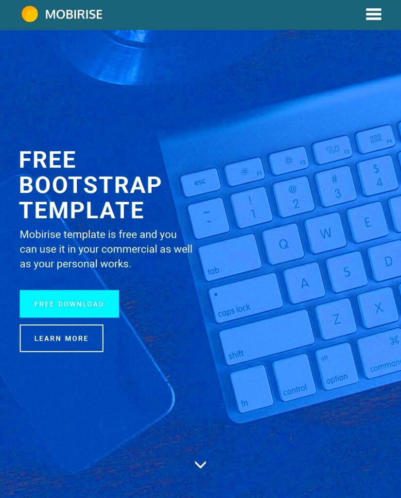 55 Best Free Bootstrap Templates 2021