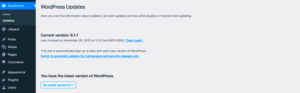 What to Do If a WordPress Theme Update Breaks Your Site
