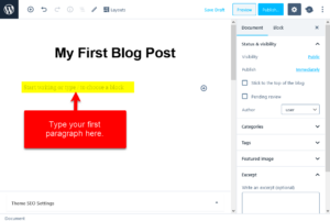 How to Write and Publish Your First WordPress Post