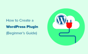 Beginner’s Guide to WordPress Plugin Development