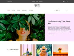 The Top 5 WordPress Themes for Beginners in 2024