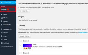 How to Check for Theme Updates in WordPress