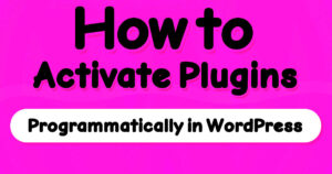 WordPress Tutorial: Programmatically Activate a Plugin